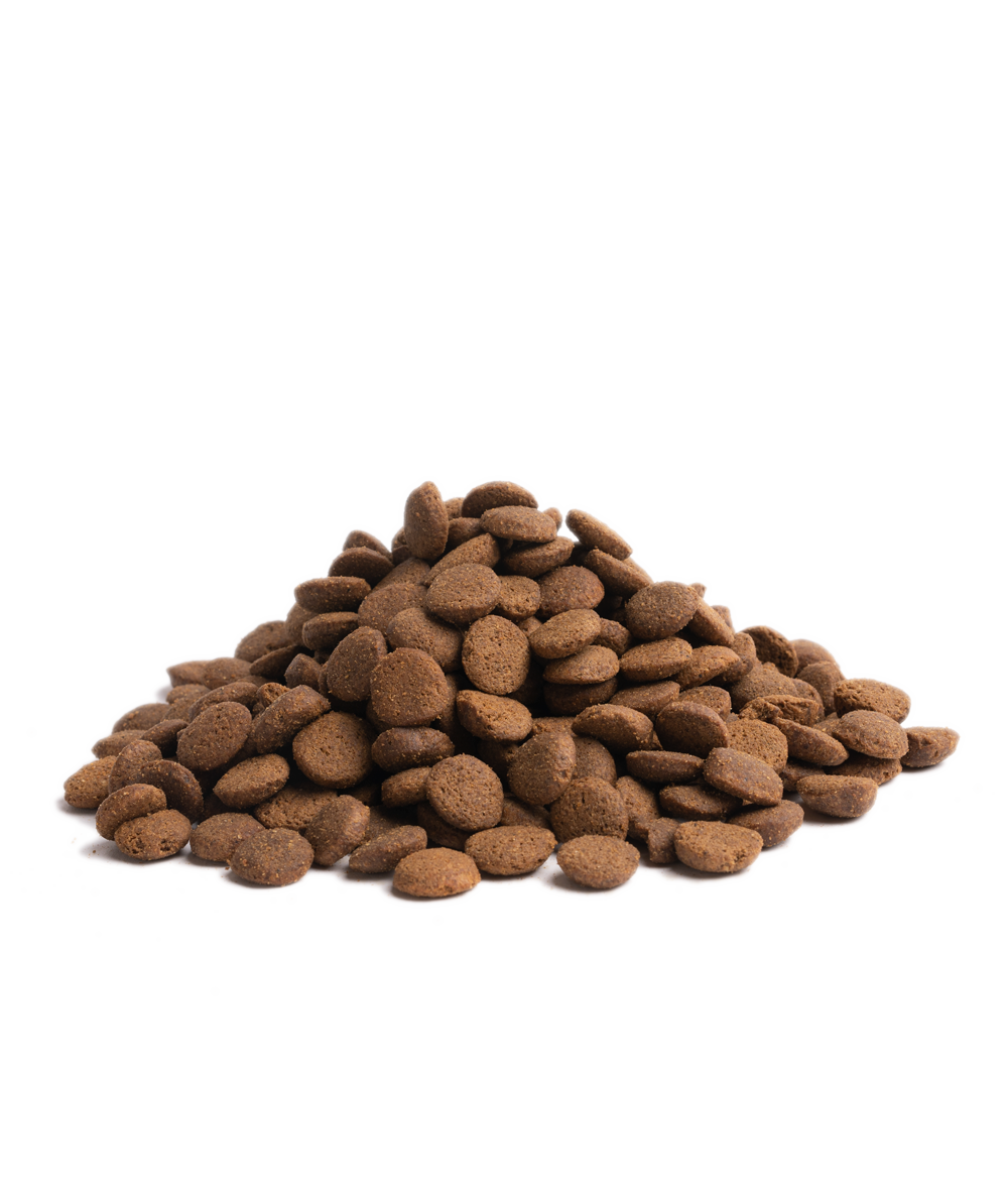 Essential HIGHLAND LIVING: Premium-Alleinfuttermittel für erwachsene Hunde in Lebensmittelqualität