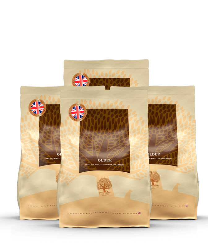 Essential OLDER - Alleinfuttermittel für ältere Hunde, getreide-, und füllstofffrei