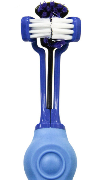 Dreiköpfige Zahnbürste mit langem Griff für Hunde