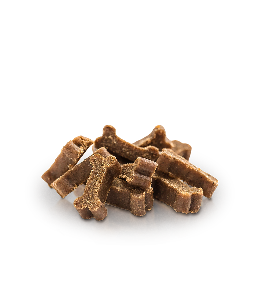 Essential LAMB MINI DELIGHTS - natürlicher Snack/Trainingsleckerchen für Deinen Hund