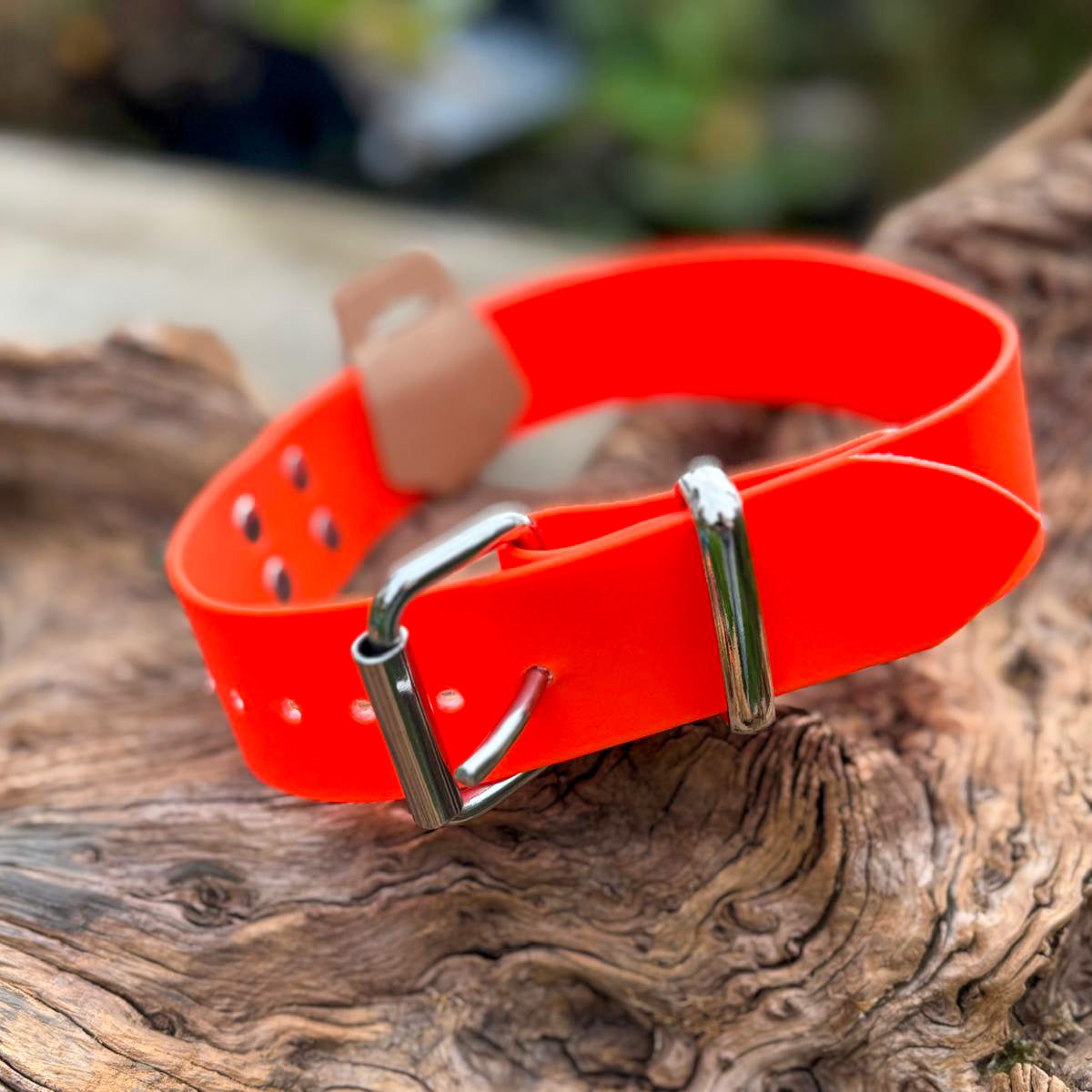 Hundehalsband (Schweisshalsung) aus wetterfestem, antimikrobiellem BioThane®  für große Hunde