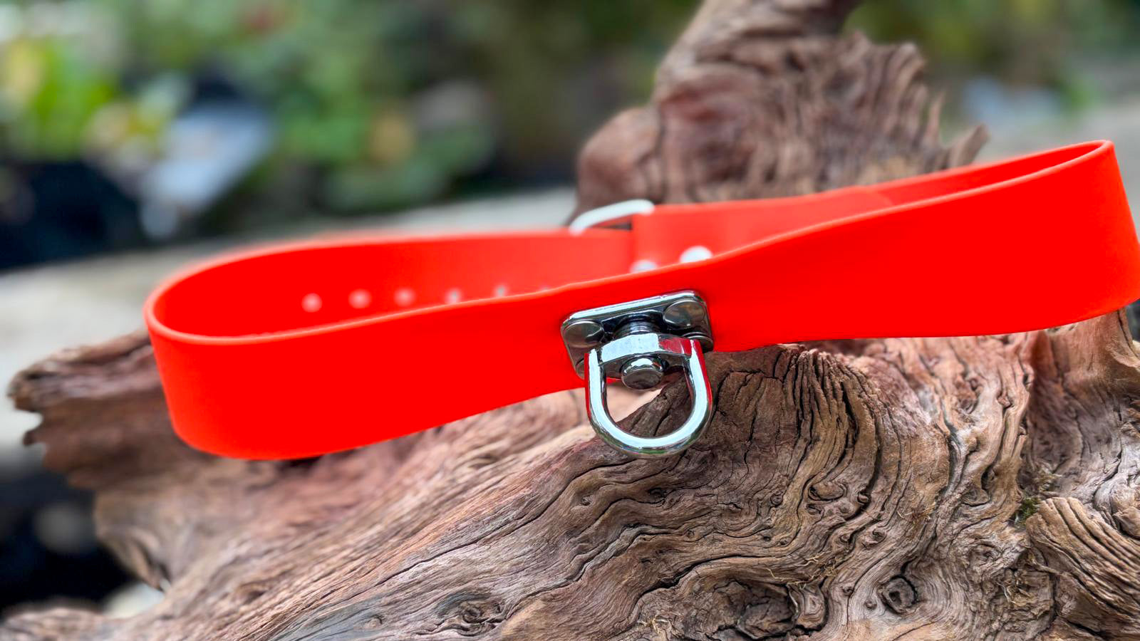 Hundehalsband (Schweisshalsung) aus wetterfestem, antimikrobiellem BioThane®  für große Hunde