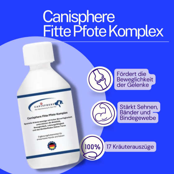 Fitte-Pfote-Komplex von Canisphere – Ergänzungsfuttermittel zur Unterstützung von Gelenken, Beweglichkeit und aktiven Hundepfoten in einer weißen Flasche mit blauer Beschriftung