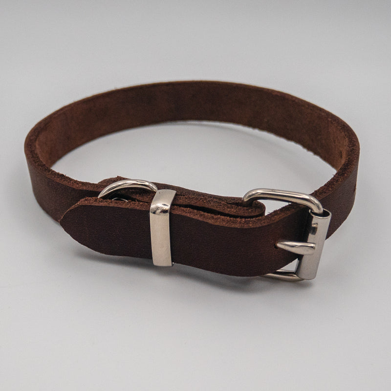 Lederhalsband für kleine Hunde