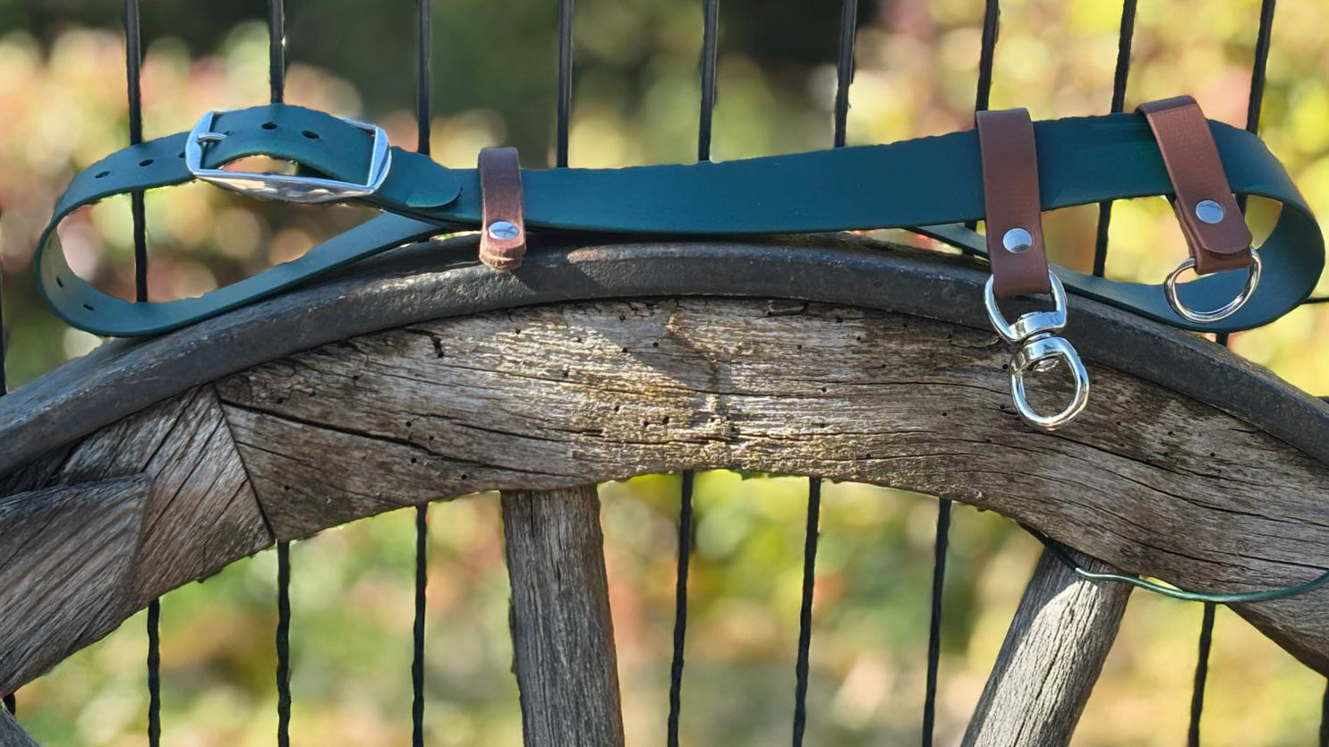 Multifunktionaler Hundegassi-Gürtel für Hundebesitzer inkl. zahlreichen Anwendungsmöglichkeiten