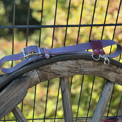 Multifunktionaler Hundegassi-Gürtel für Hundebesitzer inkl. zahlreichen Anwendungsmöglichkeiten