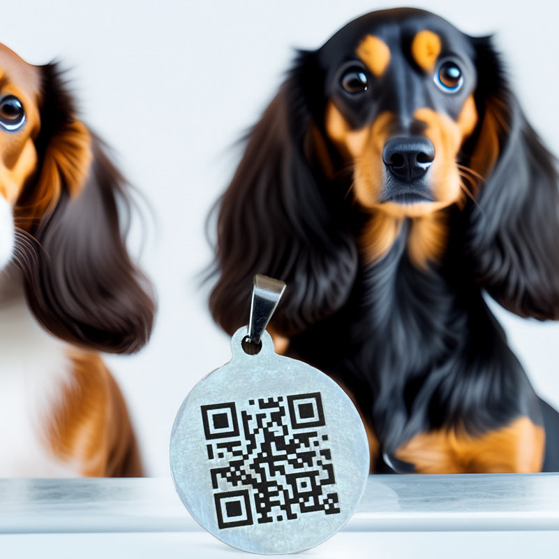 ID-Marke für Dein Haustier in verschiedenen Farben - personalisiert, jetzt auch mit QR-Code möglich
