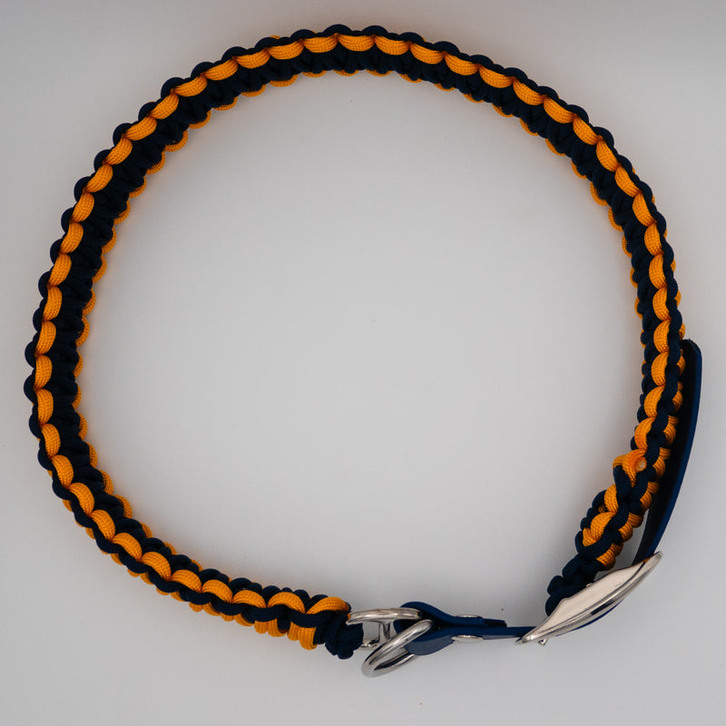 Exquisites Hundehalsband für große Hunde, sonnengelb mit royalem Blau, mehrfach verstellbar, handmade