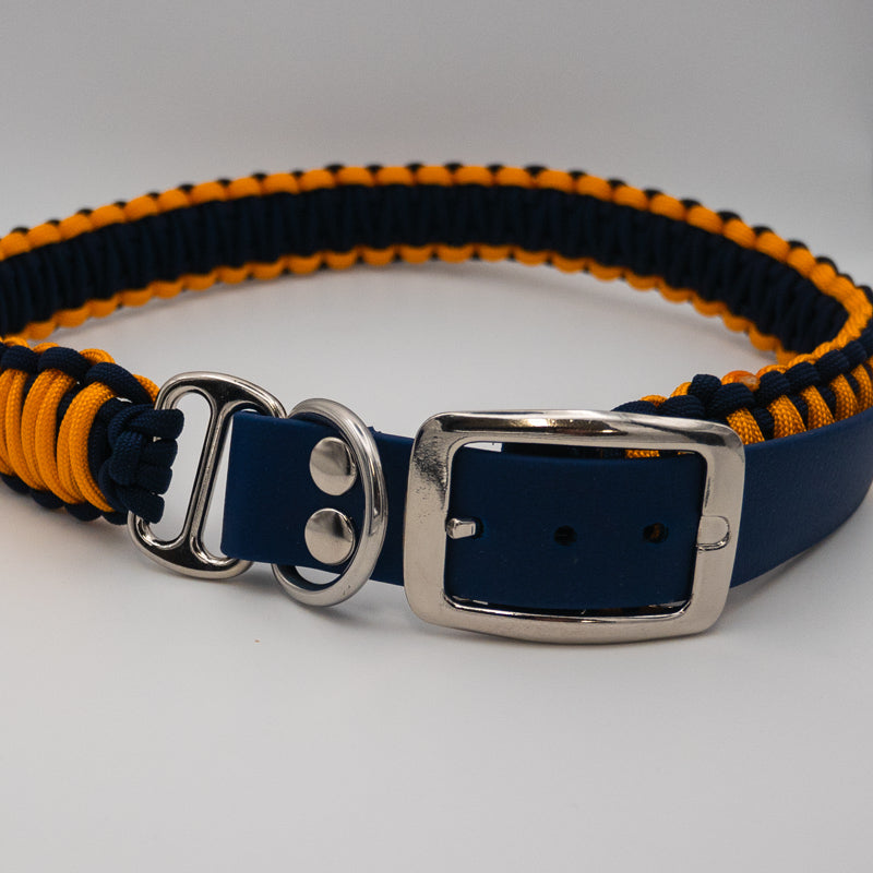 Exquisites Hundehalsband für große Hunde, sonnengelb mit royalem Blau, mehrfach verstellbar, handmade