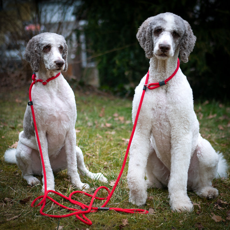 Familienleine 2 in 1 / Retrieverleine plus Kinderleine in signalrot