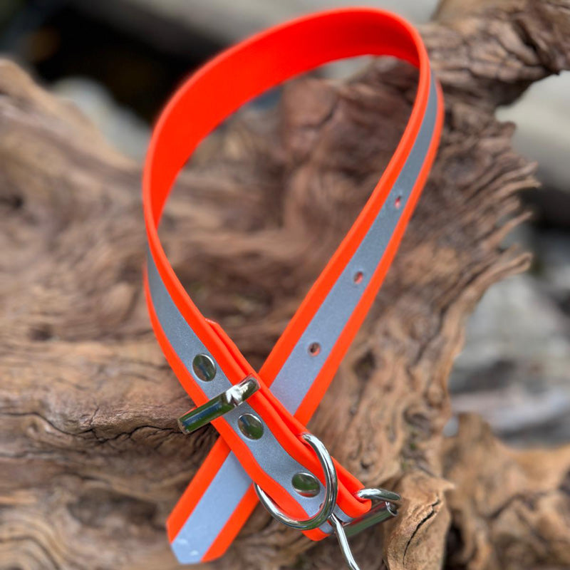 Reflektierendes Halsband