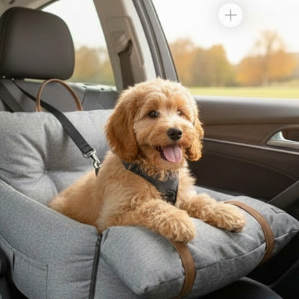 Was gehört in einen gut sortierten Hundehaushalt?