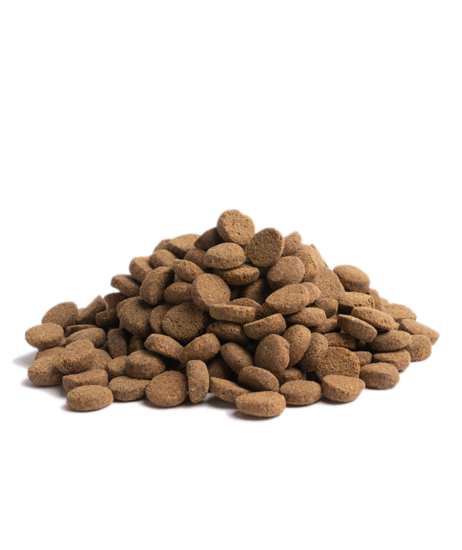 Essential the BEGINNING...- Premium-Welpenfutter für große Rassen, getreidefrei und reich an Omega-3-Fettsäuren