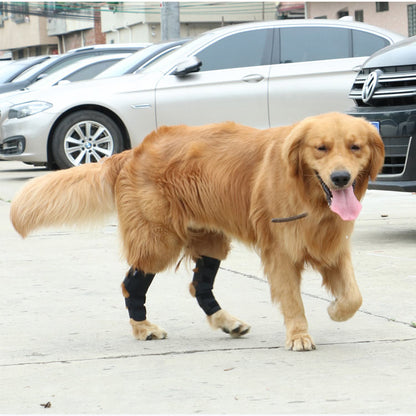 Sprunggelenksbandagen für Hunde