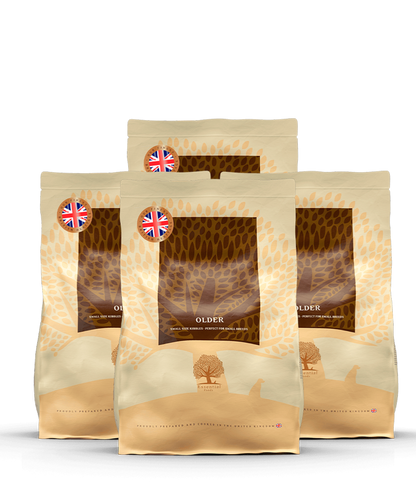 Essential the BEGINNING...- Premium-Welpenfutter für große Rassen, getreidefrei und reich an Omega-3-Fettsäuren