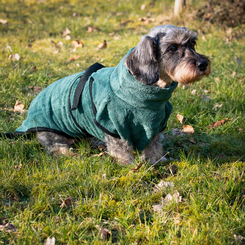 Bademantel für Hunde