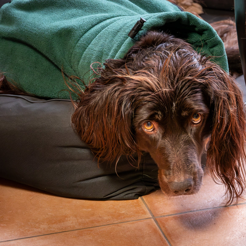 Bademantel für Hunde