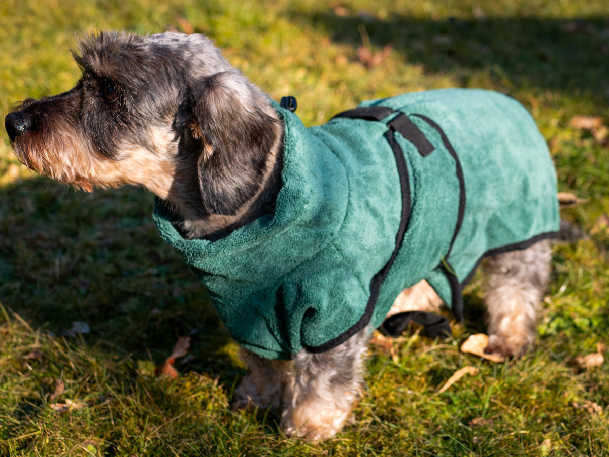 Grüner Bademantel für Hunde und Katzen aus schnell trocknender Mikrofaser, individuell einstellbar