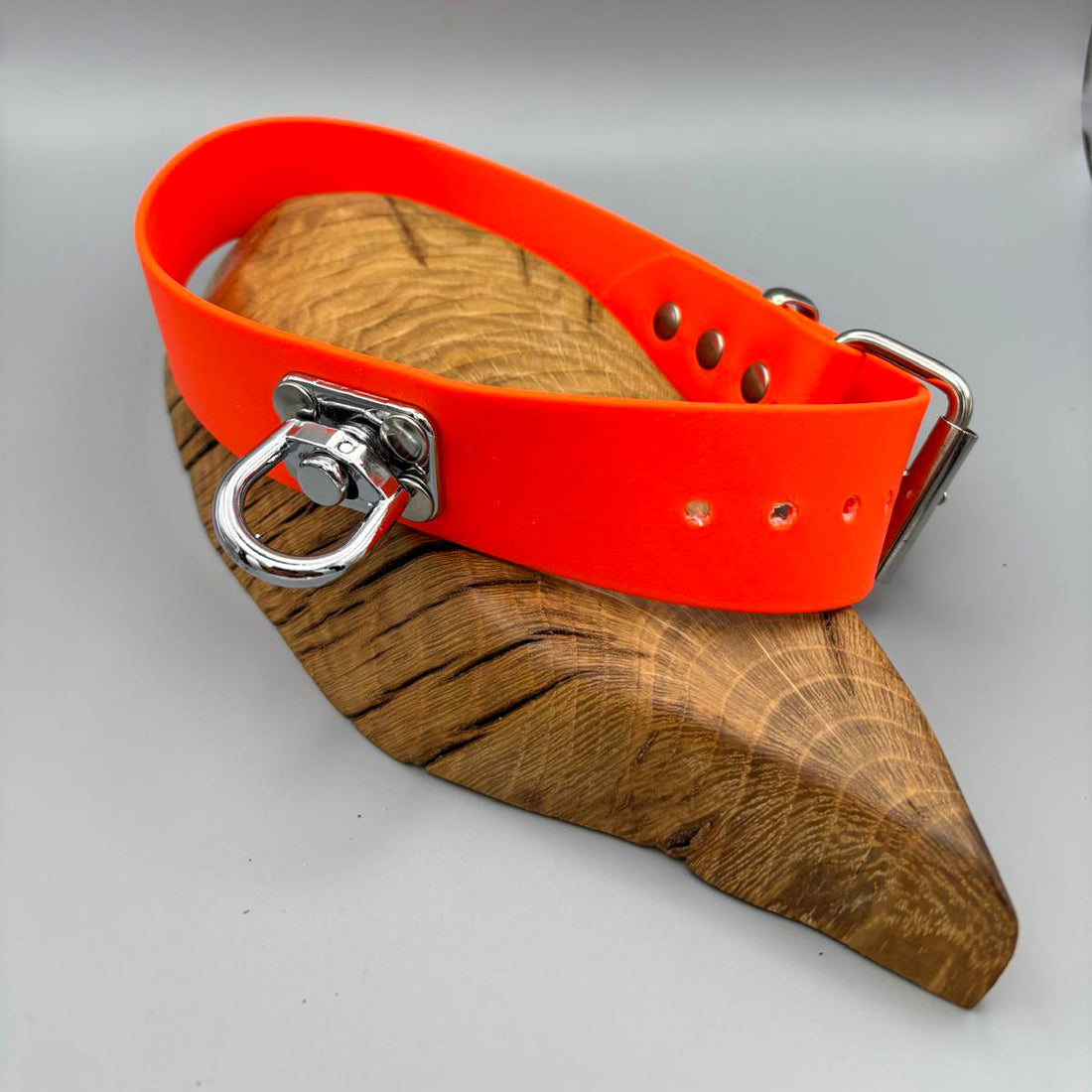 Hundehalsband (Schweisshalsung) aus wetterfestem, antimikrobiellem BioThane®  für große Hunde