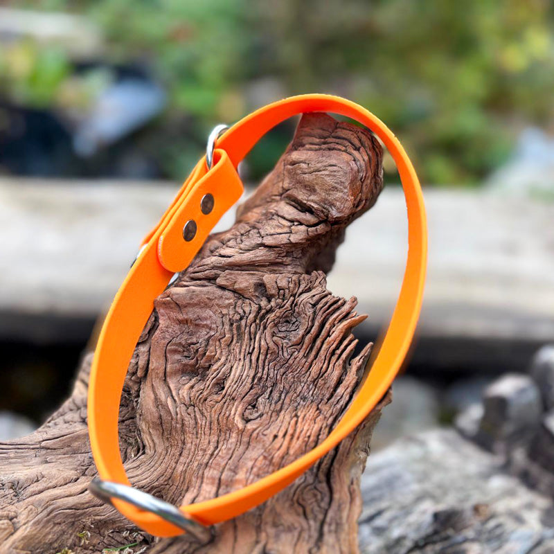 BioThane® -Halsband mit Zugstopp-Design in gut sichtbarem Hell-Orange