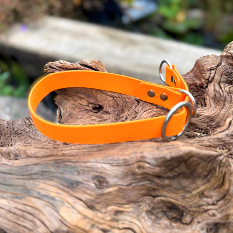 BioThane® -Halsband mit Zugstopp-Design in gut sichtbarem Hell-Orange
