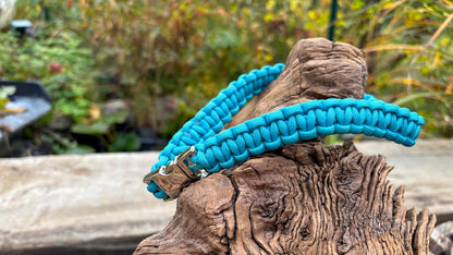 Hundehalsband Stacken