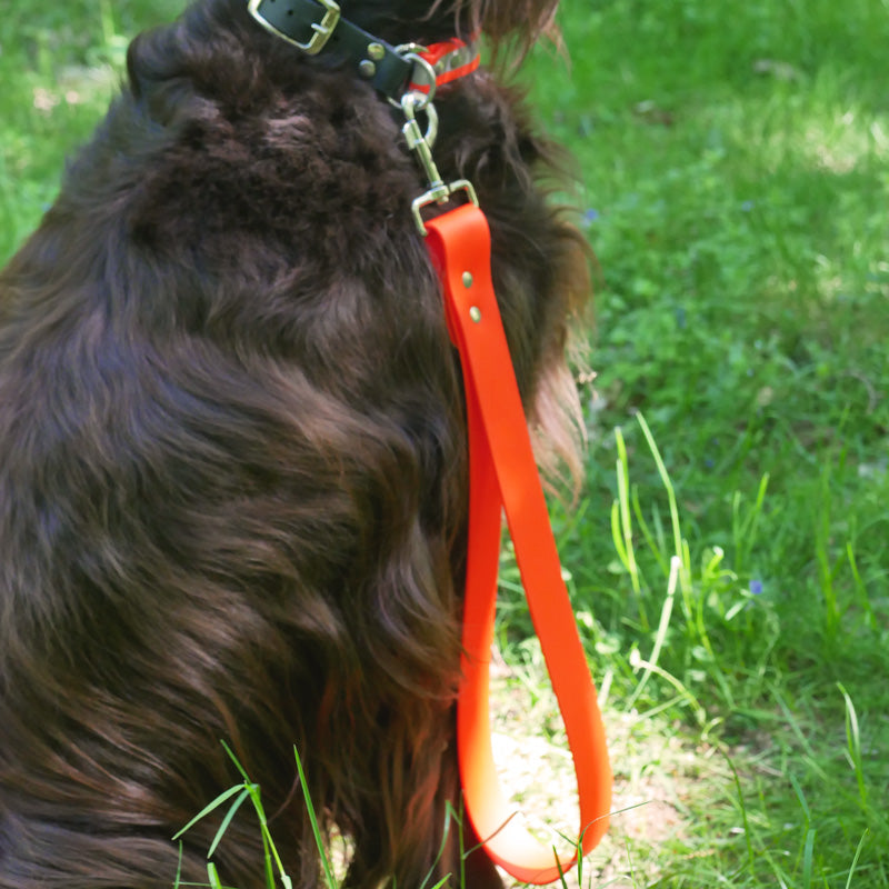 Kurzleine aus Biothane® – 4 cm breit für starke Hunde