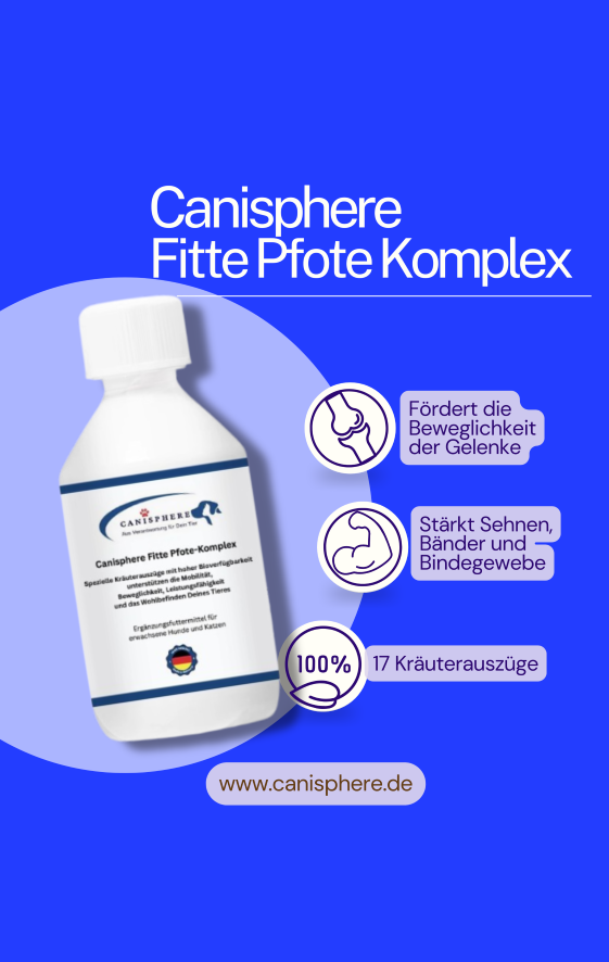 Fitte-Pfote-Komplex von Canisphere – Ergänzungsfuttermittel zur Unterstützung von Gelenken, Beweglichkeit und aktiven Hundepfoten in einer weißen Flasche mit blauer Beschriftung