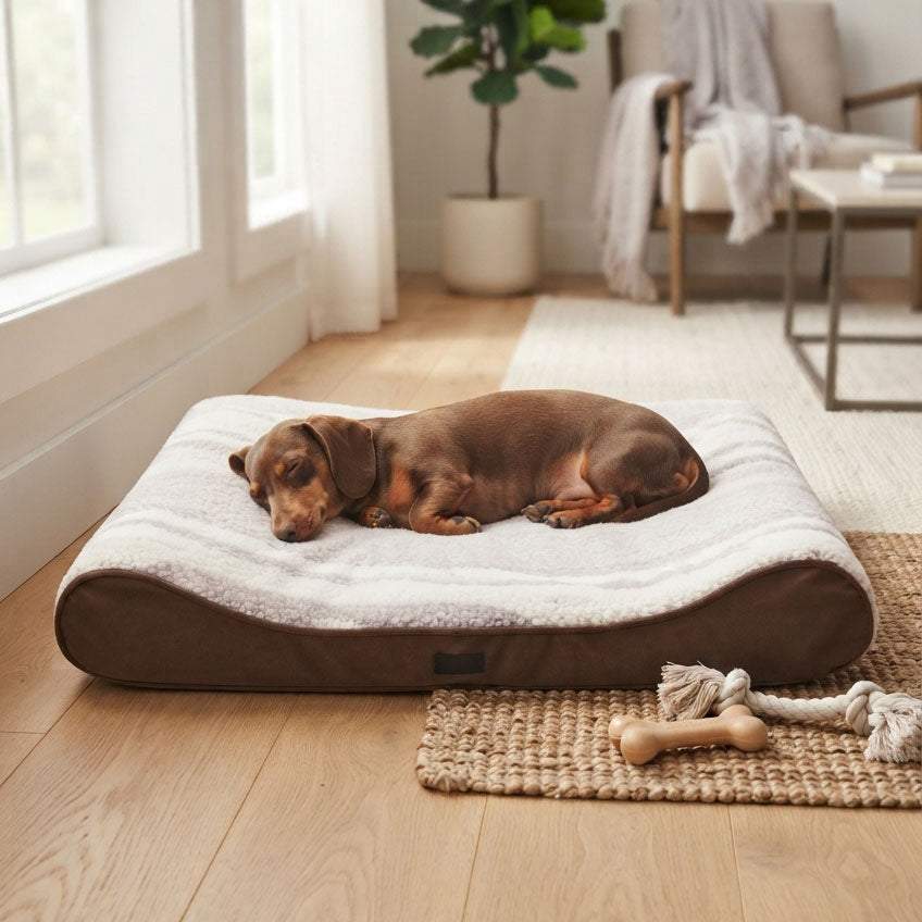 Gelenkschonende Relaxmatte  für Hunde