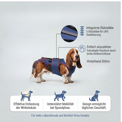 Rehageschirr/rückenstützende Bandage für Hunde u.a. bei IVDD, Arthrose, Lordose