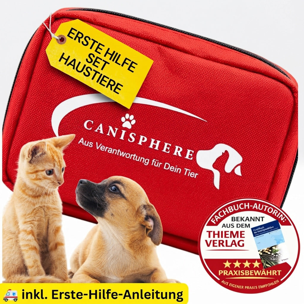 Erste-Hilfe-Set „kompakt“ - klein, praktisch, immer dabei, inkl. Erste-Hilfe-Anleitung, 25-teilig