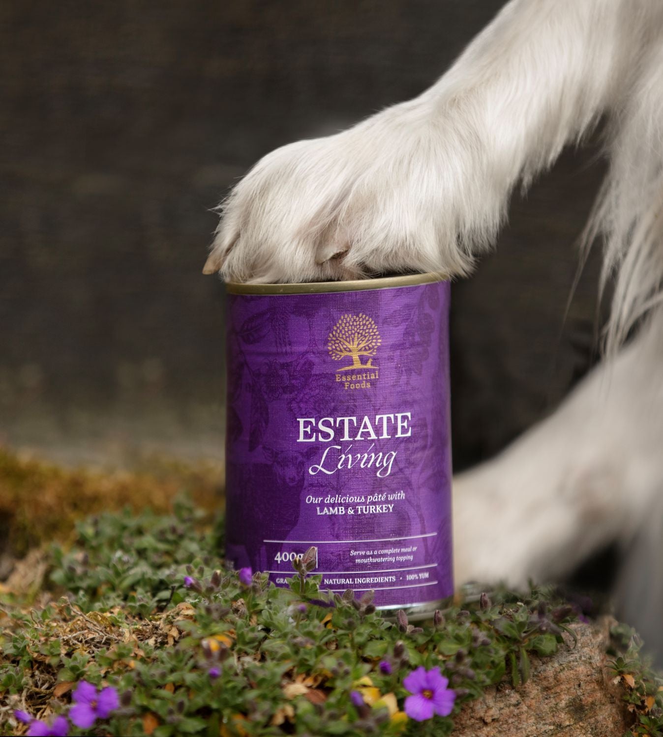 Essential Estate Living Pastete - Nassnahrung für erwachsene Hunde in Premiumqualität