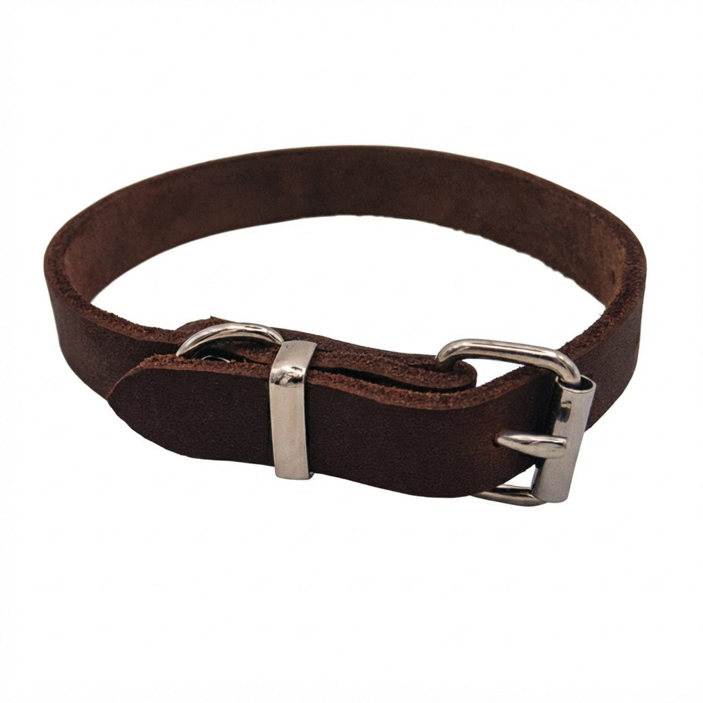 Fettlederhalsband, Hundehalsband, Gassigehen, Hundespaziergang, Hundesicherheit, Edelstahl, rostfrei, Tragekomfort, Hundetraining