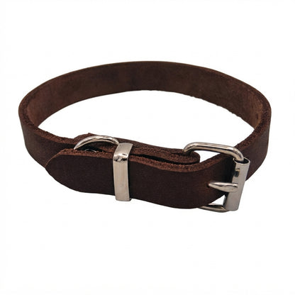 Fettlederhalsband, Hundehalsband, Gassigehen, Hundespaziergang, Hundesicherheit, Edelstahl, rostfrei, Tragekomfort, Hundetraining