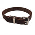 Fettlederhalsband, Hundehalsband, Gassigehen, Hundespaziergang, Hundesicherheit, Edelstahl, rostfrei, Tragekomfort, Hundetraining