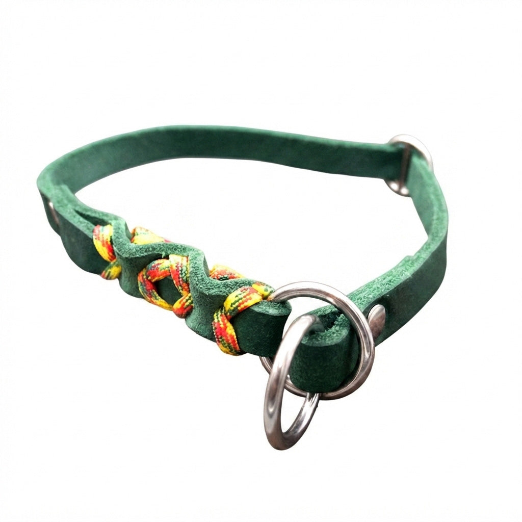 Fettlederhalsband, Hundehalsband, Fettleder, grün, Lederhalsband, Hundetraining, Hundesicherheit, Zugstopp, Edelstahlring, rostfrei