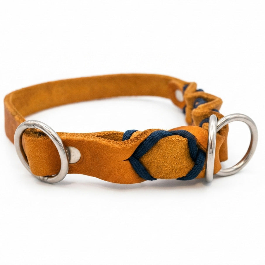 Fettlederhalsband, Hundehalsband, Paracord, Edelstahl, Zugstopp, Hundesicherheit, Hundetraining