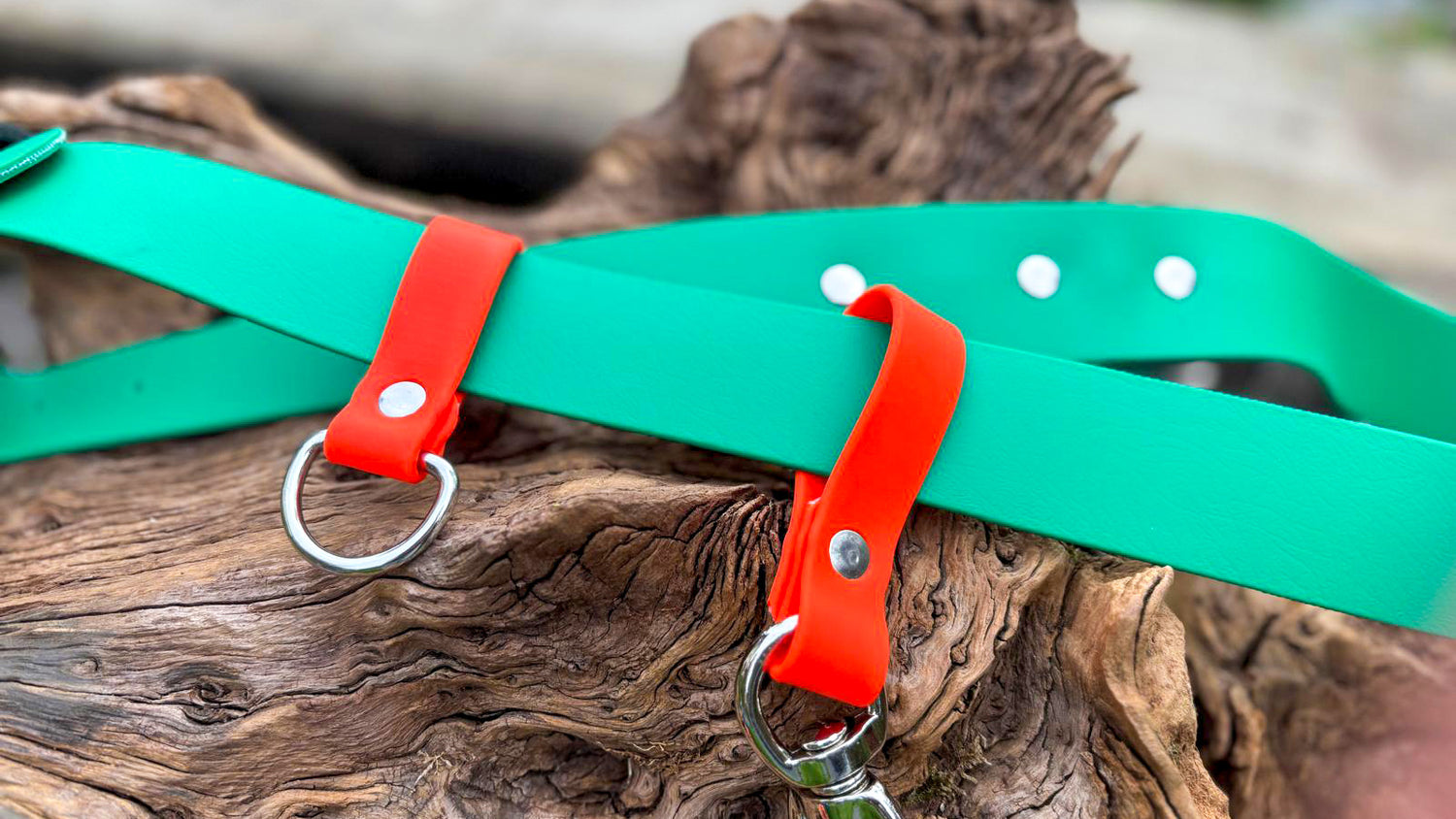 Multifunktionaler Hundegassi-Gürtel für Hundebesitzer inkl. zahlreichen Anwendungsmöglichkeiten