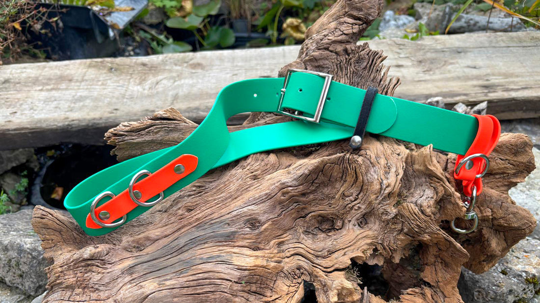 Multifunktionaler Hundegassi-Gürtel für Hundebesitzer inkl. zahlreichen Anwendungsmöglichkeiten