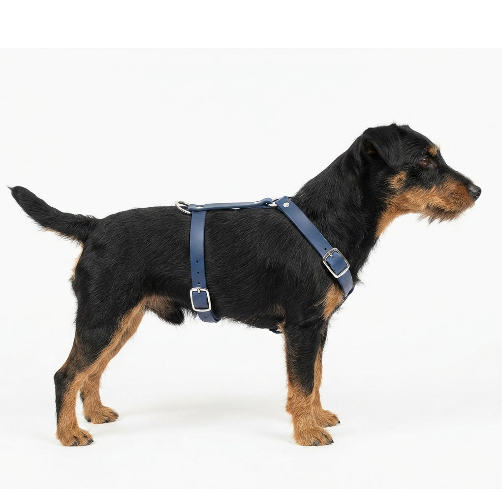 Führungsgeschirr für Hunde aus Biothane - individuell einstellbar