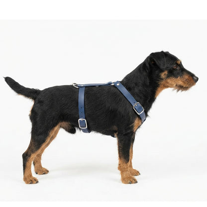 Führungsgeschirr für Hunde aus Biothane - individuell einstellbar