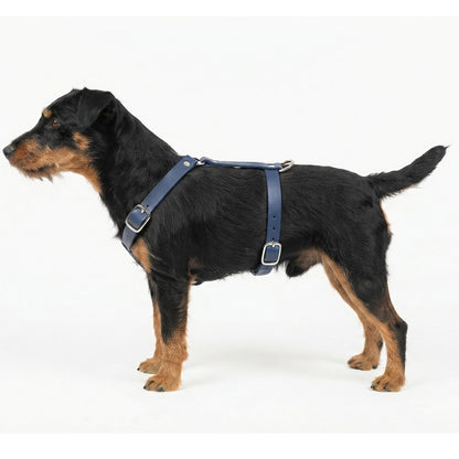 Führungsgeschirr für Hunde aus Biothane - individuell einstellbar