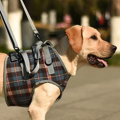 Unterstützungsgeschirr/Hebehilfe für den vorderen Körperbereich bei Hunden
