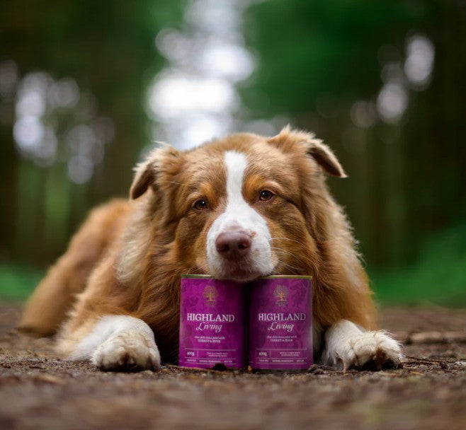 Essential HIGHLAND Living Pastete - Nassnahrung für erwachsene Hunde in Premiumqualität