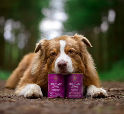 Essential HIGHLAND Living Pastete - Nassnahrung für erwachsene Hunde in Premiumqualität