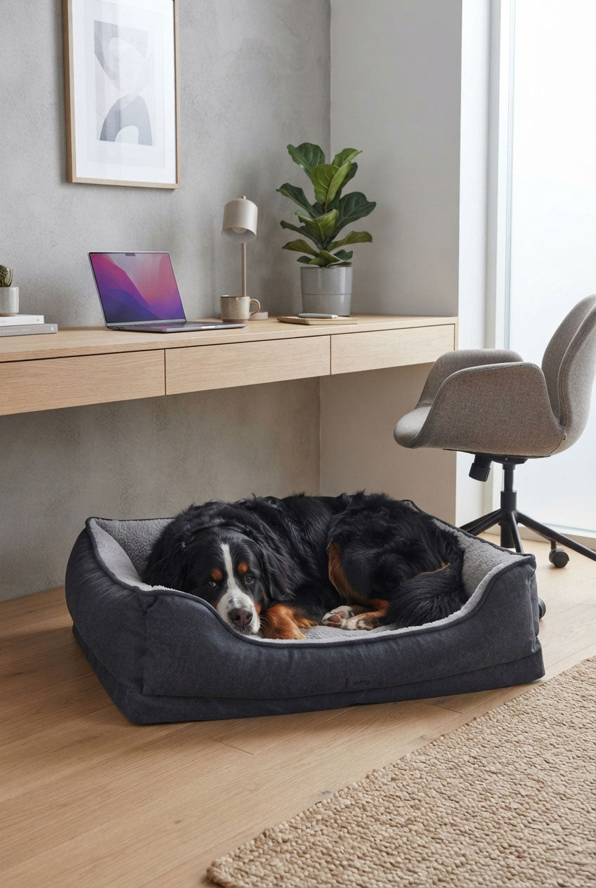 Hundebett, bequemes Hundekörbchen, Hundeliegeplatz, Hundegesundheit