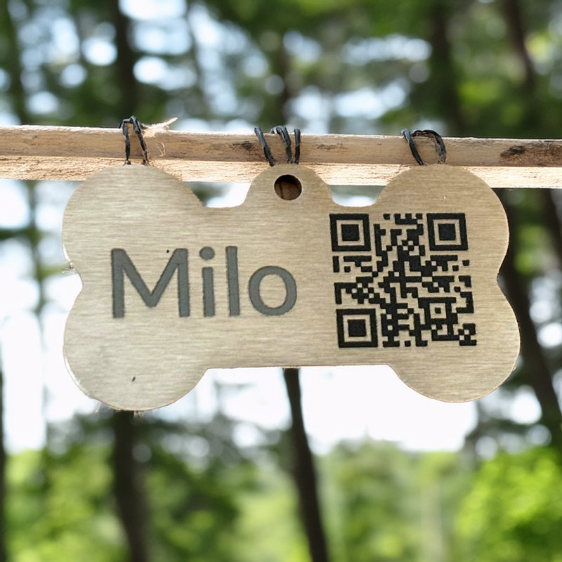 ID-Marke &quot;Hundeknochen&quot; aus gebürstetem Messing für Dein Haustier inkl. Personalisierung - jetzt auch mit QR-Code