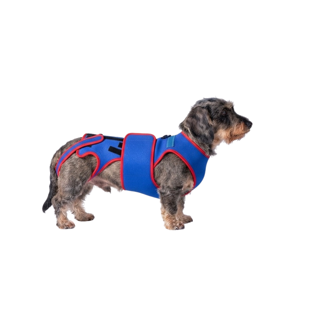 LWS-Stütze, Hundegeschirr