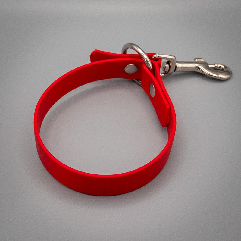 Leinenhalter aus Biothane mit Karabiner – in 5 Farben erhältlich, robust &amp; wetterfest zur sicheren Leinenaufbewahrung