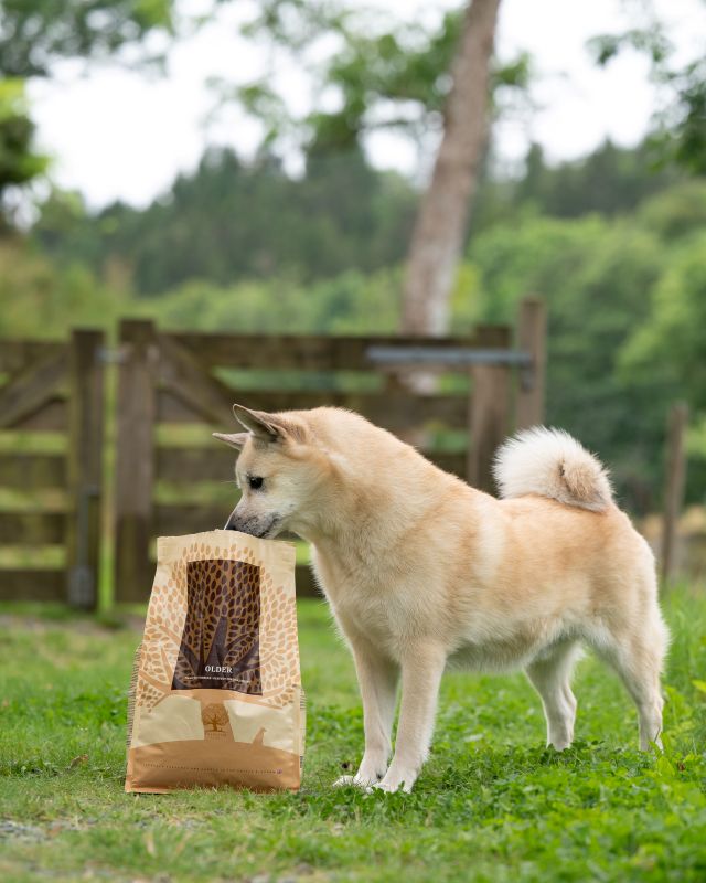 Essential OLDER - Alleinfuttermittel für ältere Hunde, getreide-, und füllstofffrei